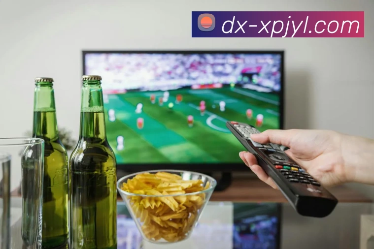 多媒体互动体验